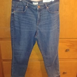 Loft Petite Jeans